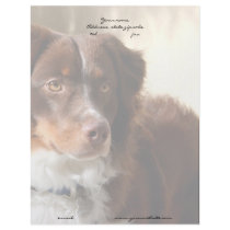 Australian Shepherd letterhead