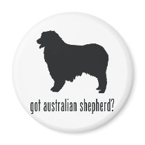 Australian Shepherd Refrigerator Magnet