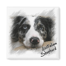Australian Shepherd Magnet by ashale8 Australian Shepherd Magnet
