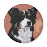 Australian Shepherd Australian Shepherd