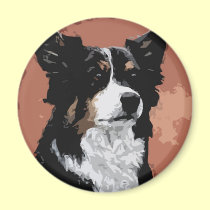 Australian Shepherd magnets