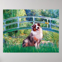 Australian Shepherd (merle) - Ophelia Seated Print