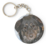 Australian Shepherd Mix Photo Key Chains