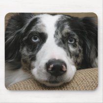 Australian shepherd Mousepad by ashale8 Australian shepherd Mousepad