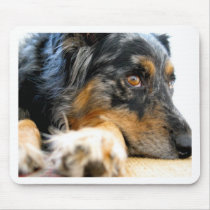 Australian Shepherd Mouse Pads
