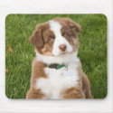 Australian Shepherd Mousepad by crooster1 Australian Shepherd Mousepad
