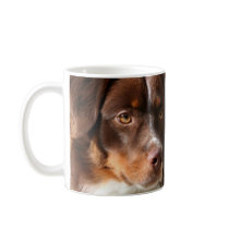 Australian Shepherd mug