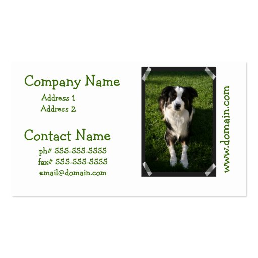 Australian Shepherd Photo Business Card (front side)