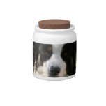 Australian Shepherd Photo Candy Jar