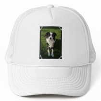Australian Shepherd Photo Design Baseball Hat