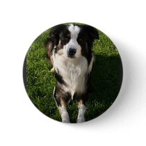 Australian Shepherd Photo Design Button