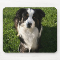 Australian Shepherd Photo Design Mouse Pad