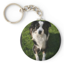 Australian Shepherd Photo Keychain