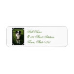 Australian Shepherd Photo  Mailing Label