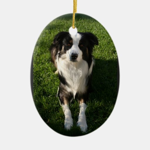 australian shepherd christmas christmas tree ornaments australian shepherd christmas christmas tree ornaments