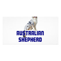 Australian Shepherd Photo Greeting Card