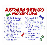 AUSTRALIAN SHEPHERD PL2 posters