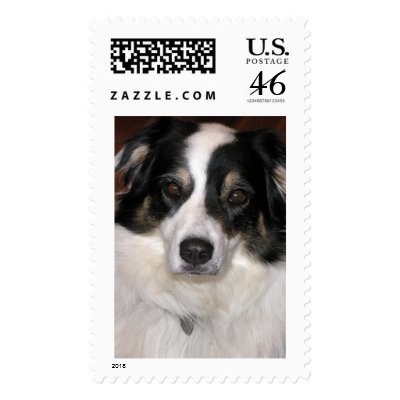 Australian Shepherd Postage Stamps by tonytug