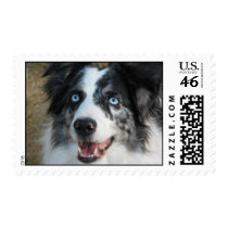 Australian Shepherd Postage