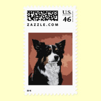 Australian Shepherd postage