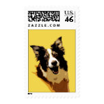 Australian Shepherd postage
