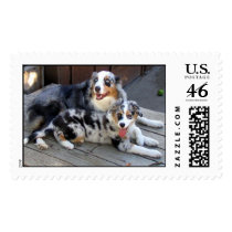 Australian Shepherd Postage, Mother and Child Dogs