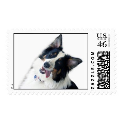 Australian Shepherd Postage Stamp by Robeth