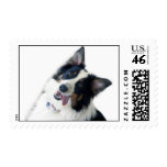Australian Shepherd Postage Stamp