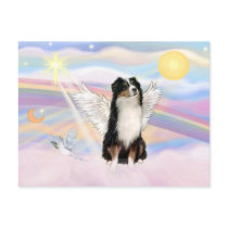 Australian Shepherd Postcard