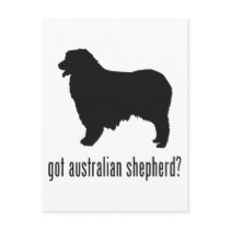 Australian Shepherd Post Cards