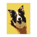 Australian Shepherd Postcards