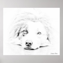 AUSTRALIAN SHEPHERD POSTERS