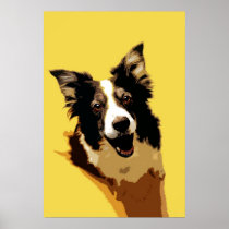 Australian Shepherd Poster