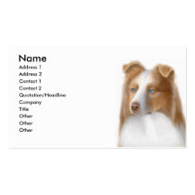 Australian Shepherd Profile Card Business Card Templates