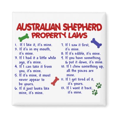 AUSTRALIAN SHEPHERD Property Laws 2 Magnets by poochloverstuff