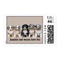 Australian Shepherd Puppies Postage Stamp
