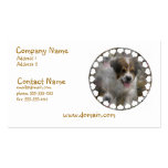 Australian Shepherd Puppy Business Card