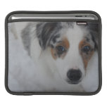 Australian Shepherd Puppy iPad Sleeve
