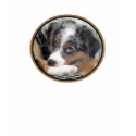 Australian Shepherd Puppy t-shirts by friskybiz Australian Shepherd Puppy t-shirts