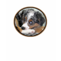 Australian Shepherd Puppy t-shirts