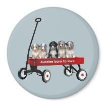 Australian Shepherd Pups In Wagon Magnet