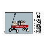 Australian Shepherd Pups In Wagon Postage Stamp