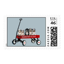 Australian Shepherd Pups In Wagon Postage Stamp