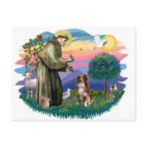 Australian Shepherd (red / white)) Post Cards