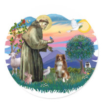 Australian Shepherd (red / white)) Round Sticker