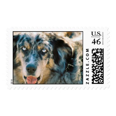 Australian Shepherd Rescue Postage Stamp by DogPoundGifts