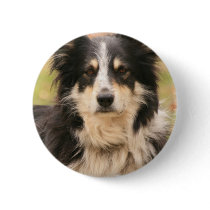 Australian Shepherd Round Pin