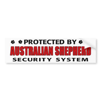 Australian Shepherd Security Bumper Sticker