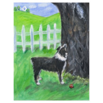 Australian Shepherd sees squirrel flyers