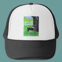 Australian Shepherd sees squirrel hats by zadajeanne Australian Shepherd sees squirrel hats